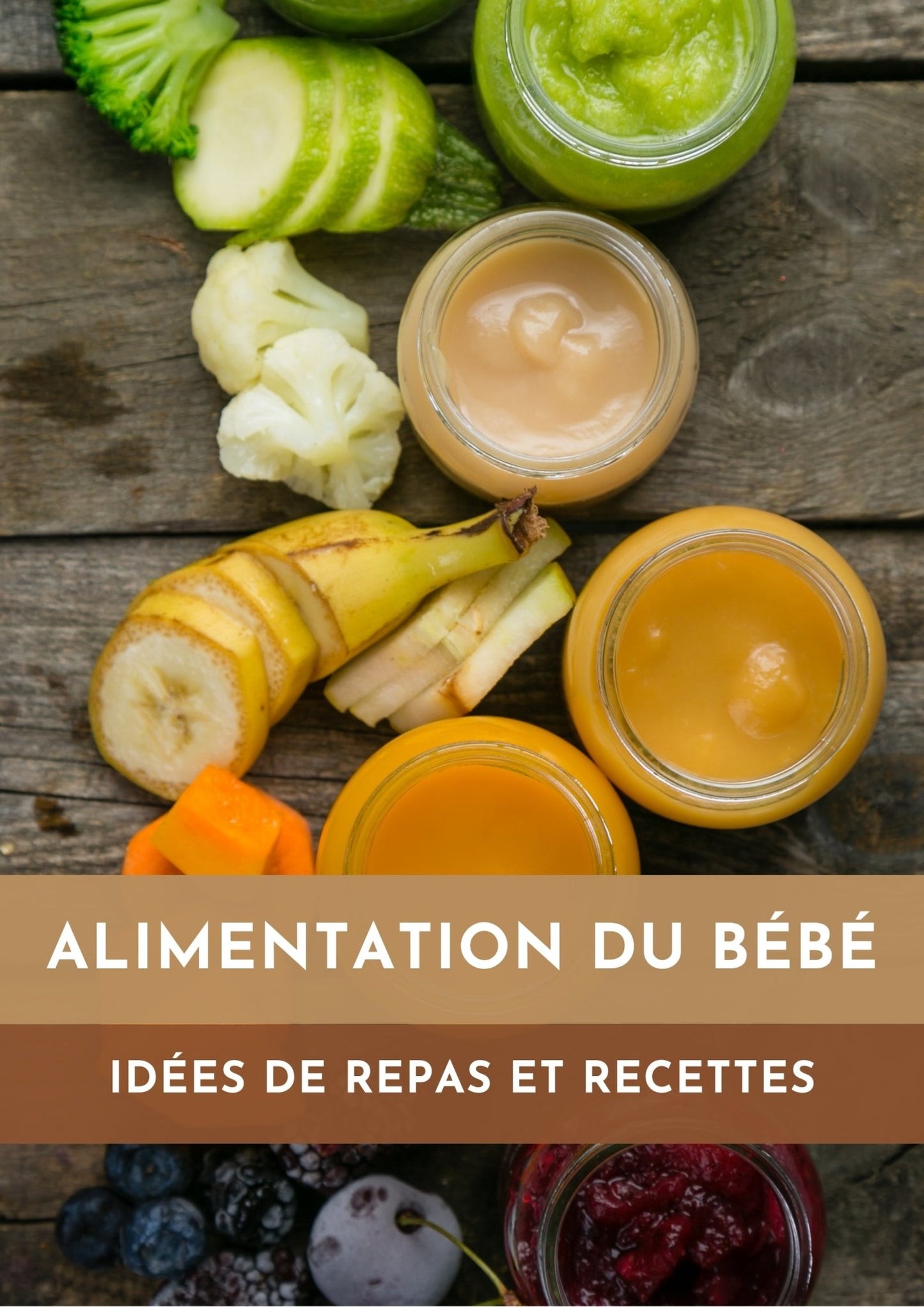 E - BOOK Alimentation de bébé - 