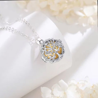 Bola-de-grossesse-Amazonie-sur-fond-blanc